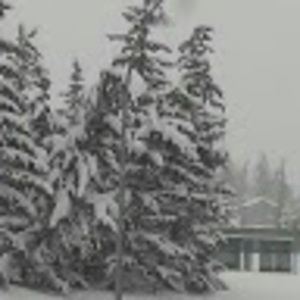 Meet your Posher, Jessy